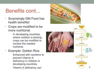 Benefits cont...
• Surprisingly GM Food has
  health benefits!
• Crops are modified to be
  more nutritional.
   o   In developing countries,
       where nutrition is lacking,
       crops can be modified to
       contain the needed
       nutrients.
• Example: Golden Rice
   o   Enhanced with carotene to
       prevent Vitamin A
       deficiency in children in
       developing countries.
   o   Vitamin A deficiency can      9
 