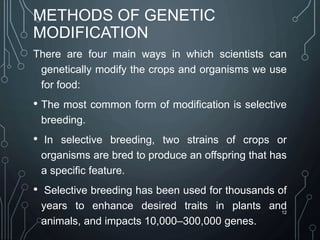 METHODS OF GENETIC
MODIFICATION
There are four main ways in which scientists can
genetically modify the crops and organisms we use
for food:
• The most common form of modification is selective
breeding.
• In selective breeding, two strains of crops or
organisms are bred to produce an offspring that has
a specific feature.
• Selective breeding has been used for thousands of
years to enhance desired traits in plants and
animals, and impacts 10,000–300,000 genes.
12
 