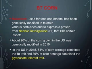 BT CORN
• Maize/corn used for food and ethanol has been
genetically modified to tolerate
various herbicides and to express a protein
from Bacillus thuringiensis (Bt) that kills certain
insects.
• About 90% of the corn grown in the US was
genetically modified in 2010.
• In the US in 2015, 81% of corn acreage contained
the Bt trait and 89% of corn acreage contained the
glyphosate-tolerant trait.
28
 