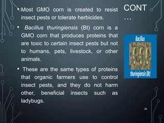 CONT
…
• Most GMO corn is created to resist
insect pests or tolerate herbicides.
• Bacillus thuringiensis (Bt) corn is a
GMO corn that produces proteins that
are toxic to certain insect pests but not
to humans, pets, livestock, or other
animals.
• These are the same types of proteins
that organic farmers use to control
insect pests, and they do not harm
other, beneficial insects such as
ladybugs.
29
 