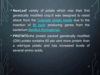 • NewLeaf variety of potato which was their first
genetically modified crop.It was designed to resist
attack from the Colorado potato beetle due to the
insertion of Bt toxin producing genes from the
bacterium Bacillus thuringiensis.
• PROTATO-the protein packed genetically modified
(GM) potato contains 60 per cent more protein than
a wild-type potato and has increased levels of
several amino acids.
37
 