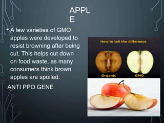 APPL
E
• A few varieties of GMO
apples were developed to
resist browning after being
cut. This helps cut down
on food waste, as many
consumers think brown
apples are spoiled.
ANTI PPO GENE
39
 