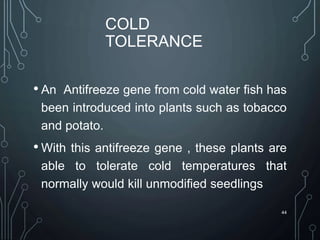 COLD
TOLERANCE
• An Antifreeze gene from cold water fish has
been introduced into plants such as tobacco
and potato.
• With this antifreeze gene , these plants are
able to tolerate cold temperatures that
normally would kill unmodified seedlings
44
 