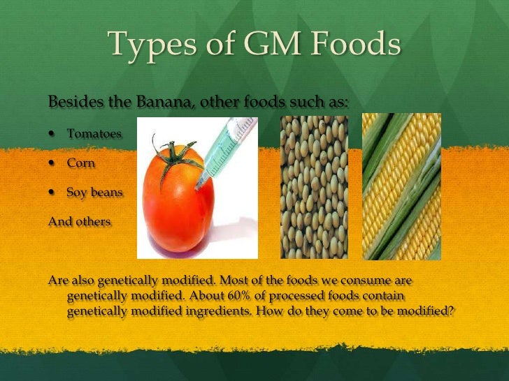 genetically modified foods 3 essay Our ability to manipulate plants by introducing new genes promises innovative solutions to these and many other real-world problems yet there is considerable opposition to the use of genetically modified plants for food production and other uses genetic engineering offers a time-saving method for. genetically modified foods 3 essay Our ability to manipulate plants by introducing new genes promises innovative solutions to these and many other real-world problems yet there is considerable opposition to the use of genetically modified plants for food production and other uses genetic engineering offers a time-saving method for.