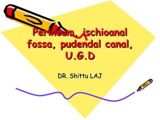 Perineum, ischioanalPerineum, ischioanal
fossa, pudendal canal,fossa, pudendal canal,
U.G.DU.G.D
DR. Shittu LAJDR. Shittu LAJ
 