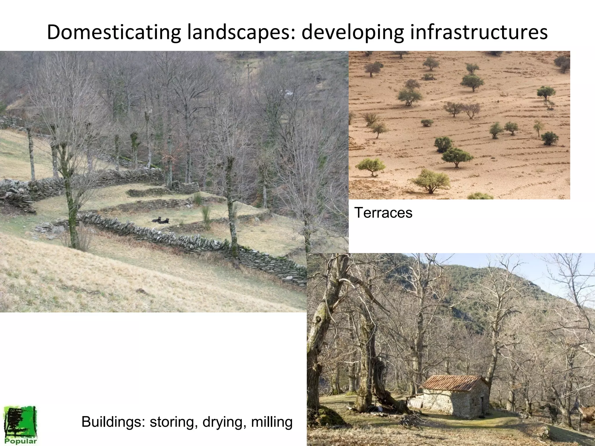 Domesticating landscapes: developing infrastructures

Terraces

Buildings: storing, drying, milling

 