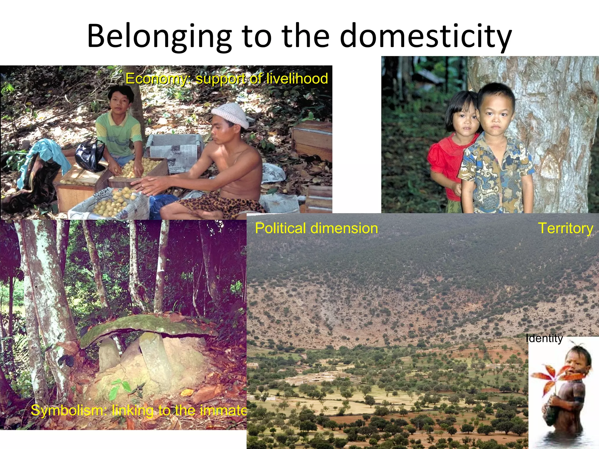 Belonging to the domesticity
Economy: support of livelihood

Political dimension

Territory

Patrimony:
transgenerational
intentions

Symbolism: linking to the immaterial world

Identity

 