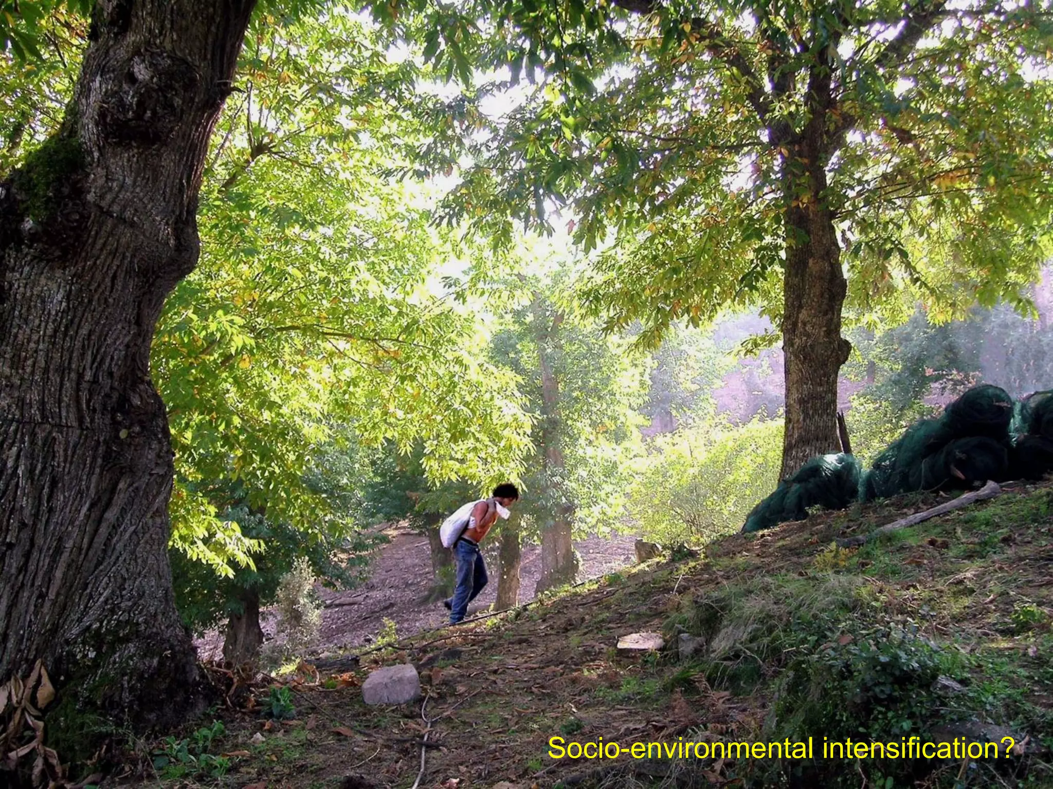 Socio-environmental intensification?

 