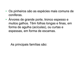 • Os pinheiros são as espécies mais comuns de
coníferas.
• Árvores de grande porte, tronco espesso e
muitos galhos. Têm folhas longas e finas, em
forma de agulha (acículas), ou curtas e
espessas, em forma de escamas.
As principais famílias são:
 