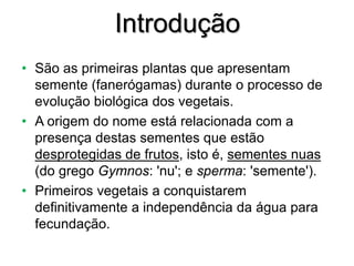 Introdução
• São as primeiras plantas que apresentam
semente (fanerógamas) durante o processo de
evolução biológica dos vegetais.
• A origem do nome está relacionada com a
presença destas sementes que estão
desprotegidas de frutos, isto é, sementes nuas
(do grego Gymnos: 'nu'; e sperma: 'semente').
• Primeiros vegetais a conquistarem
definitivamente a independência da água para
fecundação.
 