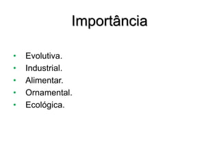 Importância
• Evolutiva.
• Industrial.
• Alimentar.
• Ornamental.
• Ecológica.
 