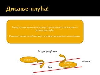 Ваздух улази кроз носне отворе, пролази кроз систем цеви и
долази до плућа.
Размена гасова у плућима која су добро прокрвљена капиларима.
кисеоник
Угљен-
диоксид
Ваздух у плућима
Крв
Капилар
 