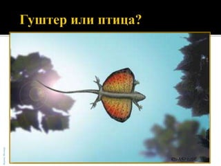 БојанаМолнар
 