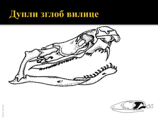 БојанаМолнар
 