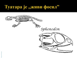 БојанаМолнар
 