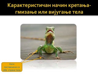 Ноге
постављене са
обе стране тела
 