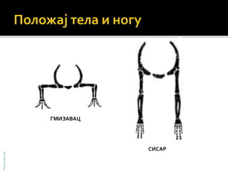 ГМИЗАВАЦ
СИСАР
БојанаМолнар
 