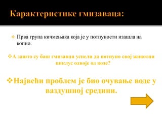  Прва група кичмењака која је у потпуности изашла на
копно.
А зашто су баш гмизавци успели да потпуно свој животни
циклус одвоје од воде?
Највећи проблем је био очување воде у
ваздушној средини.
 