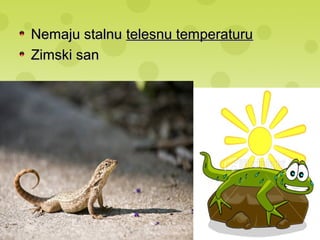 Nemaju stalnuNemaju stalnu telesnu temperaturutelesnu temperaturu
Zimski sanZimski san
 