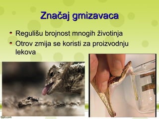 Značaj gmizavacaZnačaj gmizavaca
Regulišu brojnost mnogih životinjaRegulišu brojnost mnogih životinja
Otrov zmija se koristi za proizvodnjuOtrov zmija se koristi za proizvodnju
lekovalekova
 