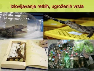 Izlovljavanje retkih, ugroženih vrstaIzlovljavanje retkih, ugroženih vrsta
 