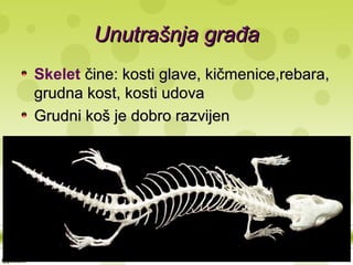 Unutrašnja građaUnutrašnja građa
Skelet čine: kosti glave, kičmenice,rebara,čine: kosti glave, kičmenice,rebara,
grudna kost, kosti udovagrudna kost, kosti udova
Grudni koš je dobro razvijenGrudni koš je dobro razvijen
 