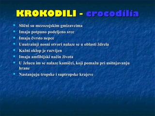 KROKODILI -KROKODILI - crocodiliacrocodilia
 Slični su mezozojskim gmizavcimaSlični su mezozojskim gmizavcima
 Imaju potpuno podeljeno srceImaju potpuno podeljeno srce
 Imaju čvrsto nepceImaju čvrsto nepce
 Unutrašnji nosni otvori nalaze se u oblasti ždrelaUnutrašnji nosni otvori nalaze se u oblasti ždrela
 Kažni oklop je razvijenKažni oklop je razvijen
 Imaju amfibijski način životaImaju amfibijski način života
 U želucu im se nalaze kamičci, koji pomažu pri usitnjavanjuU želucu im se nalaze kamičci, koji pomažu pri usitnjavanju
hranehrane
 Nastanjuju tropske i suptropske krajeveNastanjuju tropske i suptropske krajeve
 