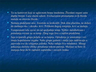  To su karnivori koji se uglavnom hrane insektima. Žlezdani organi usneTo su karnivori koji se uglavnom hrane insektima. Žlezdani organi usne
duplje brojni. Luče sluzni sekret. Evolucionim promenama ovih žlezdaduplje brojni. Luče sluzni sekret. Evolucionim promenama ovih žlezda
nastale su otrovne žlezde.nastale su otrovne žlezde.
 Nemaju podeljeno srce. Izuzetak su krokodili. Dok dišu plućima, ne dolaziNemaju podeljeno srce. Izuzetak su krokodili. Dok dišu plućima, ne dolazi
do mešanja oks. i dezoks. krvi. Prilikom dugog ronjenja, krvi se mešaju.do mešanja oks. i dezoks. krvi. Prilikom dugog ronjenja, krvi se mešaju.
 Temperatura tela zavisi im od spoljašnje temp. Njihov metabolizam iTemperatura tela zavisi im od spoljašnje temp. Njihov metabolizam i
ponašanje vezani su za temp. Zbog toga žive u toplim predelima.ponašanje vezani su za temp. Zbog toga žive u toplim predelima.
 Jaja oviparnih grupa polažu se na kopnu. Oplođenje je unutrašnje i sviJaja oviparnih grupa polažu se na kopnu. Oplođenje je unutrašnje i svi
imaju kopulatorne organe. Neke grupe guštera i zmija jaja zadržavaju uimaju kopulatorne organe. Neke grupe guštera i zmija jaja zadržavaju u
jajovodu sve do izleganja jedinke. Neke rađaju žive mladunce. Mnogijajovodu sve do izleganja jedinke. Neke rađaju žive mladunce. Mnogi
pokazuju složene oblike ponašanja tokom parenja. Mužjaci se bore ilipokazuju složene oblike ponašanja tokom parenja. Mužjaci se bore ili
menjaju boje da bi zaplašili suparnika i osvojili ženku.menjaju boje da bi zaplašili suparnika i osvojili ženku.
 