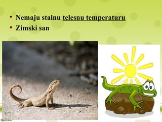 Nemaju stalnu telesnu temperaturu
Zimski san
 