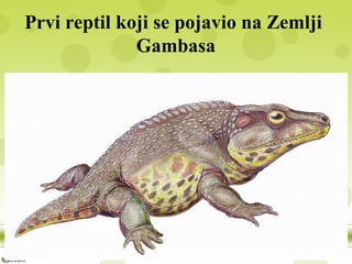 Prvi reptil koji se pojavio na Zemlji
Gambasa
 