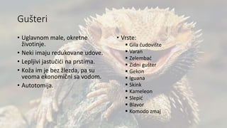 Gušteri
• Uglavnom male, okretne
životinje.
• Neki imaju redukovane udove.
• Lepljivi jastučići na prstima.
• Koža im je bez žlezda, pa su
veoma ekonomični sa vodom.
• Autotomija.
• Vrste:
 Gila čudovište
 Varan
 Zelembać
 Zidni gušter
 Gekon
 Iguana
 Skink
 Kameleon
 Slepić
 Blavor
 Komodo zmaj
 