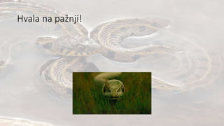 Hvala na pažnji!
 