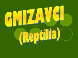 GMIZAVCI (Reptilia) 