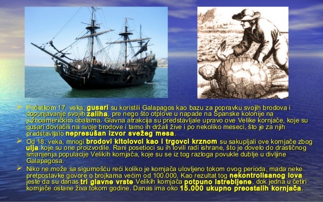 Gmizavci velika kornjaca sa galapagosa, milica radivojevic