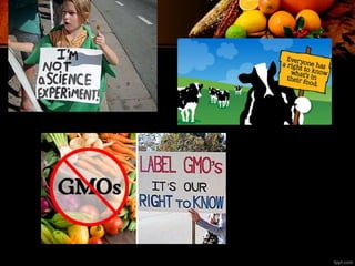 GM labeling_Dr. Sonia