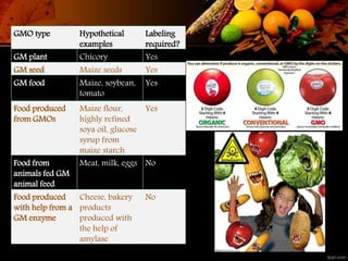 GMO type Hypothetical
examples
Labeling
required?
GM plant Chicory Yes
GM seed Maize seeds Yes
GM food Maize, soybean,
tomato
Yes
Food produced
from GMOs
Maize flour,
highly refined
soya oil, glucose
syrup from
maize starch
Yes
Food from
animals fed GM
animal feed
Meat, milk, eggs No
Food produced
with help from a
GM enzyme
Cheese, bakery
products
produced with
the help of
amylase
No
 