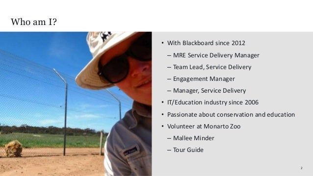 client engagement manager