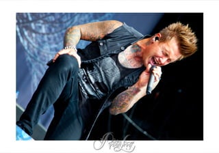 Papa Roach Concert Photo