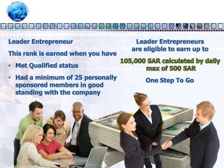 Semi Professional Entrepreneur