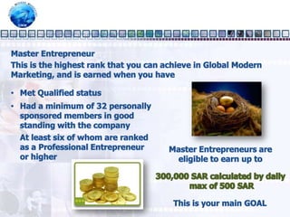 Professional Entrepreneur