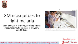 GM mosquitoes to
fight malaria
Gene-editing tech to create genetically altered
mosquitoes may be out there in five years,
says Bill Gates
The Nurses and attendants staff we provide for your healthy recovery for bookings Contact Us:-
Brought to you by
 