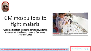 GM mosquitoes to
fight malaria
Gene-editing tech to create genetically altered
mosquitoes may be out there in five years,
says Bill Gates
The Nurses and attendants staff we provide for your healthy recovery for bookings Contact Us:-
 