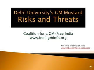 GM Mustard, The Risks and Threats