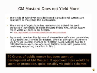 GM Mustard, The Risks and Threats