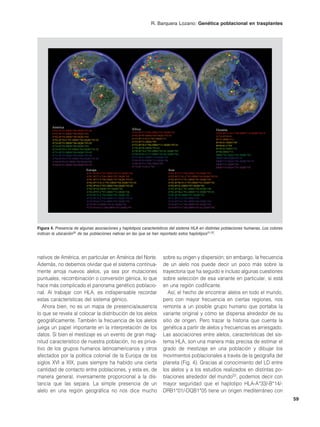 R. Barquera Lozano: Genética poblacional en trasplantes




        América
        A*02-B*35-DRB1*04-DQB1*03:02
                                                                África                                                     Oceanía
                                                                A*01-B*57-C*06-DRB1*07-DQB1*02                             A*02-B*15:02-C*08-DRB1*12-DQB1*03:01
        A*02-B*35-DRB1*08-DQB1*04
                                                                A*02-B*49-DRB1*04-DQB1*03:02                               A*24-B*40:01
        A*02-B*39-DRB1*08-DQB1*04
                                                                A*23-B*15:03-C*02-DRB1*11                                  B*35-DRB1*12
        A*02-B*39-C*07-DRB1*04-DQB1*03:02
                                                                A*23-B*53-DRB1*09                                          B*40:01-DRB1*09
        A*24-B*35-DRB1*04-DQB1*03:02
                                                                A*23-B*58-C*06-DRB1*11-DQB1*03:01                          B*40:01-C*03
        A*24-B*39-DRB1*08-DQB1*04
                                                                A*30-B*08-DRB1*03:02                                       B*40:02-DRB1*15
        A*24-B*39-C*07-DRB1*04-DQB1*03:02
                                                                A*30-B*18-C*05-DRB1*03:01-DQB1*02                          B*48-DRB1*11
        A*31-B*35-DRB1*04-DQB1*03:02
                                                                A*30-B*42-C*17-DRB1*03:02-DQB1*04                          DRB1*01-DQA1*01-DQB1*05
        A*31-B*39-DRB1*04-DQB1*03:02
                                                                A*32-B*41-DRB1*10-DQB1*05                                  DRB1*09-DQB1*03:03
        A*68-B*39-C*07-DRB1*04-DQB1*03:02
                                                                A*68-B*49-DRB1*13-DQB1*06                                  DRB1*12-DQA1*01-DQB1*03:01
        A*68-B*40:02-DRB1*08-DQB1*04
                                                                A*68-B*53-C*06-DRB1*08                                     DRB1*12-DQB1*05
        A*68-B*35-DRB1*04-DQB1*03:02
                                                                A*74-B*15:03-C*02                                          DRB1*14-DQA1*01-DQB1*05
                                Europa                                                   Asia
                                A*01-B*08-C*07-DRB1*03:01-DQB1*02                        A*01-B*37-C*06-DRB1*10-DQB1*05
                                A*01-B*57-C*06-DRB1*07-DQB1*02                           A*02-B*15:01-C*03-DRB1*04-DQB1*03:01
                                A*01-B*57-C*06-DRB1*07-DQB1*03:03                        A*02-B*27-C*01-DRB1*01-DQB1*05
                                A*02-B*15:01-C*03-DRB1*04-DQB1*03:02                     A*02-B*40:01-C*03-DRB1*01-DQB1*05
                                A*02-B*44-C*05-DRB1*04-DQB1*03:02                        A*02-B*41-DRB1*07-DQB1*02
                                A*02-B*44-DRB1*07-DQB1*02                                A*02-B*46-C*01-DRB1*08-DQB1*06
                                A*03-B*07-C*07-DRB1*15-DQB1*06                           A*02-B*46-C*01-DRB1*12-DQB1*03:01
                                A*24-B*35-C*04-DRB1*01-DQB1*05                           A*02-B*50-DRB1*07-DQB1*02
                                A*24-B*35-C*04-DRB1*11-DQB1*03:01                        A*11-B*13-C*03-DRB1*16
                                A*29-B*44-C*16-DRB1*07-DQB1*02                           A*24-B*54-C*01-DRB1*04-DQB1*04
                                A*30-B*18-DRB1*03:01-DQB1*02                             A*30-B*13-C*06-DRB1*07-DQB1*02
                                A*33-B14:02-C*08-DRB1*01-DQB1*05                         A*30-B*53-C*04-DRB1*03:01-DQB1*02




Figura 4. Presencia de algunas asociaciones y haplotipos característicos del sistema HLA en distintas poblaciones humanas. Los colores
indican la ubicación50 de las poblaciones nativas en las que se han reportado estos haplotipos51,52.




nativos de América, en particular en América del Norte.                               sobre su origen y dispersión; sin embargo, la frecuencia
Además, no debemos olvidar que el sistema continua-                                   de un alelo nos puede decir un poco más sobre la
mente arroja nuevos alelos, ya sea por mutaciones                                     trayectoria que ha seguido e incluso algunas cuestiones
puntuales, recombinación o conversión génica, lo que                                  sobre selección de esa variante en particular, si está
hace más complicado el panorama genético poblacio-                                    en una región codificante.
nal. Al trabajar con HLA, es indispensable recordar                                      Así, el hecho de encontrar alelos en todo el mundo,
estas características del sistema génico.                                             pero con mayor frecuencia en ciertas regiones, nos
   Ahora bien, no es un mapa de presencia/ausencia                                    remonta a un posible grupo humano que portaba la
lo que se revela al colocar la distribución de los alelos                             variante original y cómo se dispersa alrededor de su
geográficamente. También la frecuencia de los alelos                                  sitio de origen. Pero trazar la historia que cuenta la
juega un papel importante en la interpretación de los                                 genética a partir de alelos y frecuencias es arriesgado.
datos. Si bien el mestizaje es un evento de gran mag-                                 Las asociaciones entre alelos, características del sis-
nitud característico de nuestra población, no es priva-                               tema HLA, son una manera más precisa de estimar el
tivo de los grupos humanos latinoamericanos y otros                                   grado de mestizaje en una población y dibujar los
afectados por la política colonial de la Europa de los                                movimientos poblacionales a través de la geografía del
siglos XVI a XIX, pues siempre ha habido una cierta                                   planeta (Fig. 4). Gracias al conocimiento del LD entre
cantidad de contacto entre poblaciones, y esta es, de                                 los alelos y a los estudios realizados en distintas po-
manera general, inversamente proporcional a la dis-                                   blaciones alrededor del mundo52, podemos decir con
tancia que las separa. La simple presencia de un                                      mayor seguridad que el haplotipo HLA-A*33/-B*14/-
alelo en una región geográfica no nos dice mucho                                      DRB1*01/-DQB1*05 tiene un origen mediterráneo con
                                                                                                                                                                  59
 