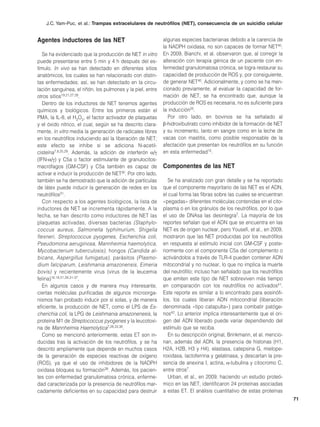 J.C. Yam-Puc, et al.: Trampas extracelulares de neutrófilos (NET), consecuencia de un suicidio celular


Agentes inductores de las NET                               algunas especies bacterianas debido a la carencia de
                                                            la NADPH oxidasa, no son capaces de formar NET40.
   Se ha evidenciado que la producción de NET in vitro      En 2009, Bianchi, et al. observaron que, al corregir la
puede presentarse entre 5 min y 4 h después del es-         alteración con terapia génica de un paciente con en-
tímulo. In vivo se han detectado en diferentes sitios       fermedad granulomatosa crónica, se logra restaurar su
anatómicos, los cuales se han relacionado con distin-       capacidad de producción de ROS y, por consiguiente,
tas enfermedades; así, se han detectado en la circu-        de generar NET40. Adicionalmente, y como se ha men-
lación sanguínea, el riñón, los pulmones y la piel, entre   cionado previamente, al evaluar la capacidad de for-
otros sitios19,21,27,28.                                    mación de NET, se ha encontrado que, aunque la
   Dentro de los inductores de NET tenemos agentes          producción de ROS es necesaria, no es suficiente para
químicos y biológicos. Entre los primeros están el          la inducción25.
PMA, la IL-8, el H2O2, el factor activador de plaquetas        Por otro lado, en bovinos se ha señalado al
y el óxido nítrico, el cual, según se ha descrito clara-    β-hidroxibutirato como inhibidor de la formación de NET
mente, in vitro media la generación de radicales libres     y su incremento, tanto en sangre como en la leche de
en los neutrófilos induciendo así la liberación de NET;     vacas con mastitis, como posible responsable de la
este efecto se inhibe si se adiciona N-acetil-              afectación que presentan los neutrófilos en su función
cisteína7,8,25,29. Además, la adición de interferón α/γ     en esta enfermedad15.
(IFN-α/γ) y C5a o factor estimulante de granulocitos-
macrófagos (GM-CSF) y C5a también es capaz de               Componentes de las NET
activar e inducir la producción de NET30. Por otro lado,
también se ha demostrado que la adición de partículas          Se ha analizado con gran detalle y se ha reportado
de látex puede inducir la generación de redes en los        que el componente mayoritario de las NET es el ADN,
neutrófilos31.                                              el cual forma las fibras sobre las cuales se encuentran
   Con respecto a los agentes biológicos, la lista de       «pegadas» diferentes moléculas contenidas en el cito-
inductores de NET se incrementa rápidamente. A la           plasma o en los gránulos de los neutrófilos, por lo que
fecha, se han descrito como inductores de NET las           el uso de DNAsa las desintegra7. La mayoría de los
plaquetas activadas, diversas bacterias (Staphylo-          reportes señalan que el ADN que se encuentra en las
coccus aureus, Salmonella typhimurium, Shigella             NET es de origen nuclear, pero Yousefi, et al., en 2009,
flexneri, Streptococcus pyogenes, Escherichia coli,         mostraron que las NET producidas por los neutrófilos
Pseudomona aeruginosa, Mannheimia haemolytica,              en respuesta al estímulo inicial con GM-CSF y poste-
Mycobacterium tuberculosis), hongos (Candida al-            riormente con el componente C5a del complemento o
bicans, Aspergillus fumigatus), parásitos (Plasmo-          activándolos a través de TLR-4 pueden contener ADN
dium falciparum, Leishmania amazonensis, Eimeria            mitocondrial y no nuclear, lo que no implica la muerte
bovis) y recientemente virus (virus de la leucemia          del neutrófilo; incluso han señalado que los neutrófilos
felina)16,19,21,28,31-37.                                   que emiten este tipo de NET sobreviven más tiempo
   En algunos casos y de manera muy interesante,            en comparación con los neutrófilos no activados41.
ciertas moléculas purificadas de algunos microorga-         Este reporte es similar a lo encontrado para eosinófi-
nismos han probado inducir por sí solas, y de manera        los, los cuales liberan ADN mitocondrial (liberación
eficiente, la producción de NET, como el LPS de Es-         denominada «tipo catapulta») para combatir patóge-
cherichia coli, la LPG de Leishmania amazonenesis, la       nos42. Lo anterior implica interesantemente que el ori-
proteína M1 de Streptococcus pyogenes y la leucotoxi-       gen del ADN liberado puede variar dependiendo del
na de Mannheimia Haemolytica7,28,33,38.                     estímulo que se reciba.
   Como se mencionó anteriormente, estas ET son in-            En su descripción original, Brinkmann, et al. mencio-
ducidas tras la activación de los neutrófilos, y se ha      nan, además del ADN, la presencia de histonas (H1,
descrito ampliamente que depende en muchos casos            H2A, H2B, H3 y H4), elastasa, catepsina G, mielope-
de la generación de especies reactivas de oxígeno           roxidasa, lactoferrina y gelatinasa, y descartan la pre-
(ROS), ya que el uso de inhibidores de la NADPH             sencia de anexina I, actina, α-tubulina y citocromo C,
oxidasa bloquea su formación39. Además, los pacien-         entre otros7.
tes con enfermedad granulomatosa crónica, enferme-             Urban, et al., en 2009, haciendo un estudio proteó-
dad caracterizada por la presencia de neutrófilos mar-      mico en las NET, identificaron 24 proteínas asociadas
cadamente deficientes en su capacidad para destruir         a estas ET. El análisis cuantitativo de estas proteínas
                                                                                                                       71
 