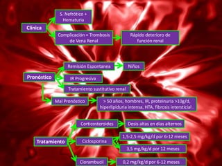 S. Nefrótico +
                 Hematuria
Clínica
              Complicación = Trombosis              Rápido deterioro de
                  de Vena Renal                        función renal




                   Remisión Espontanea             Niños

Pronóstico          IR Progresiva

                   Tratamiento sustitutivo renal

             Mal Pronóstico           > 50 años, hombres, IR, proteinuria >10g/d,
                                    hiperlipiduria intensa, HTA, fibrosis intersticial .


                         Corticosteroides          Dosis altas en días alternos

                                                1,5-2,5 mg/kg/d por 6-12 meses
    Tratamiento           Ciclosporina
                                                   3,5 mg/kg/d por 12 meses

                         Clorambucil            0,2 mg/kg/d por 6-12 meses
 