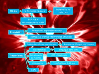 Proteinuria no
Clínica       S. Nefrótico no puro
                                                 selectiva

               HTA + IR +
          Microhematuria + HTA


                     Remisiones espontáneas raras
Pronóstico
                   Nefropatía crónica y terminal (5-10 años)


                Corticosteroides en monoterapia        Prednisona 60 mg/d por 3 meses

                      Ciclosfofamida              2 mg/kg/d por 8 sem

Tratamiento        Micofenolato         1000 – 3000 mg/d
                   de mofetilo

                     Ciclosporina          5 mg/kg/d por 6-12 sem


                    IECAs
 
