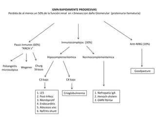 GMN RAPIDAMENTE PROGRESIVAS
    Perdida de al menos un 50% de la función renal en <3meses con daño Glomerular (proteinuria-hematuria)




                                              Inmunocomplejos (30%)
         Pauci-inmunes (60%)                                                                     Anti-MBG (10%)
               “ANCA`s”

                                   Hipocomplementemica       Normocomplementemica

Poliangeitis              Churg
               Wegener
microscópica             Strauss
                                                                                                    Goodpasture

                            C3 bajo              C4 bajo



                          1. LES               Crioglobulinemia       1. Nefropatía IgA
                          2. Post-Infecc                              2. Henoch-sholein
                          3. Membprolif                               3. GMN fibrilar
                          4. Endocarditis
                          5. Abscesos visc
                          6. Nefritis shunt
 