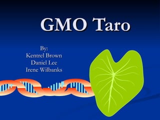 GMO Taro By: Kentrel Brown Daniel Lee Irene Wilbanks 